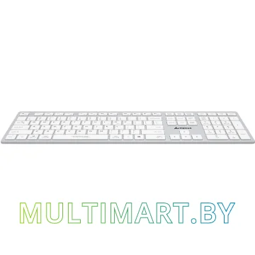 Клавиатура A4Tech Fstyler FBX50C (серебристый/белый) картинка 9